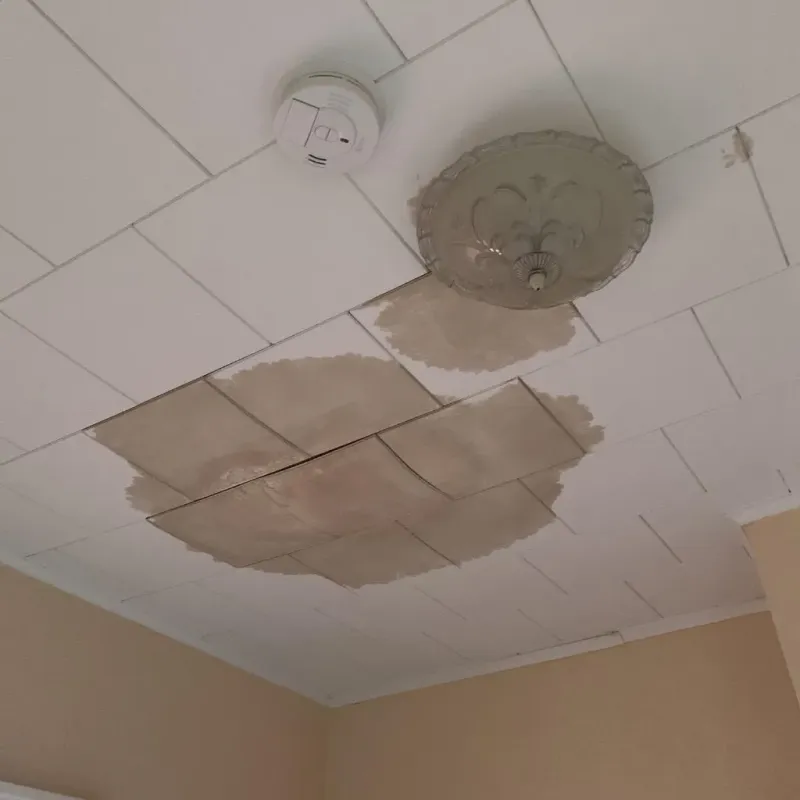 Ceiling Water Damage Repair in Oxford, NC