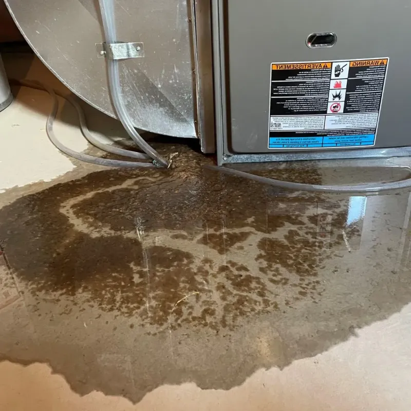 Pipe Burst and Leak Restoration in Oxford, NC