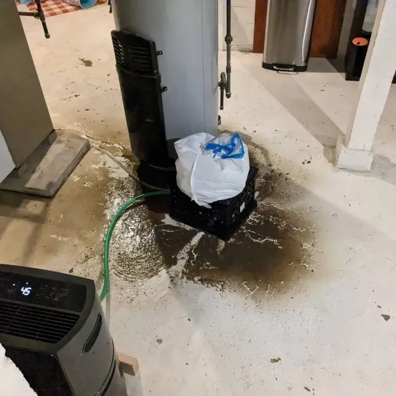 Sewage Backup Cleanup Service in Oxford, NC